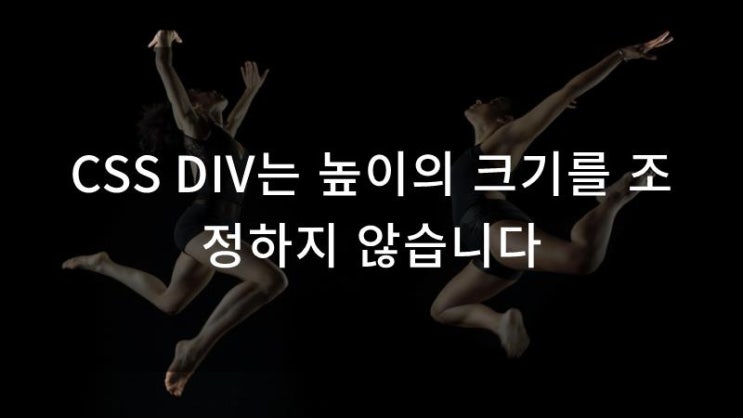 CSS DIV는 높이의 크기를 조정하지 않습니다