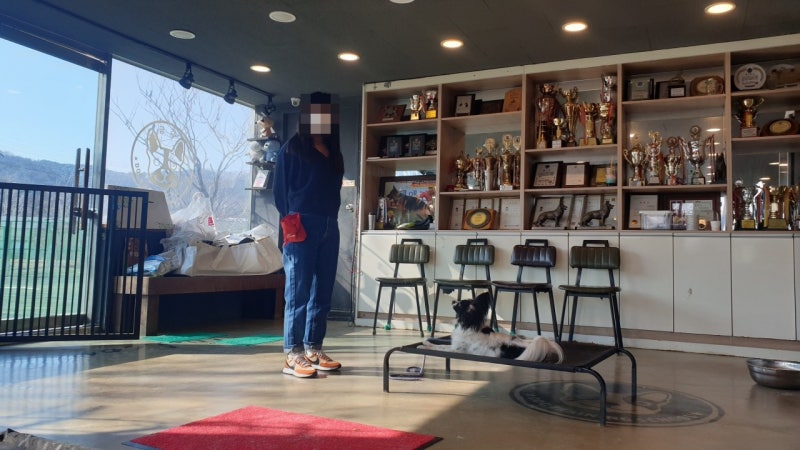 사진 4