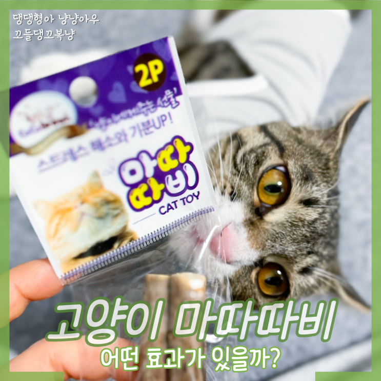  고양이 마따따비 스틱 효과와 주의사항 알기!