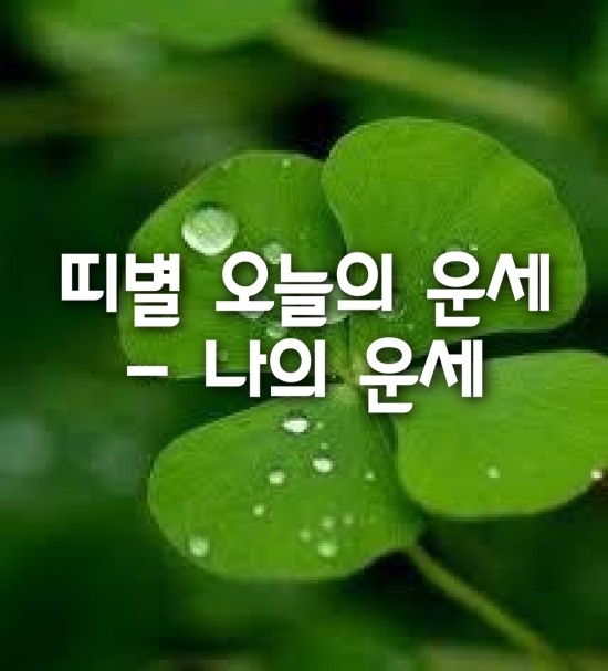  띠별 오늘의 운세/ 나의 운세