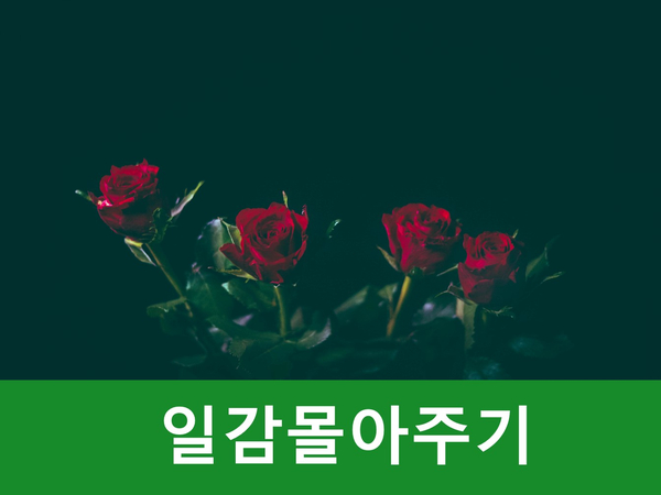  일감몰아주기 증여의제 과세제도