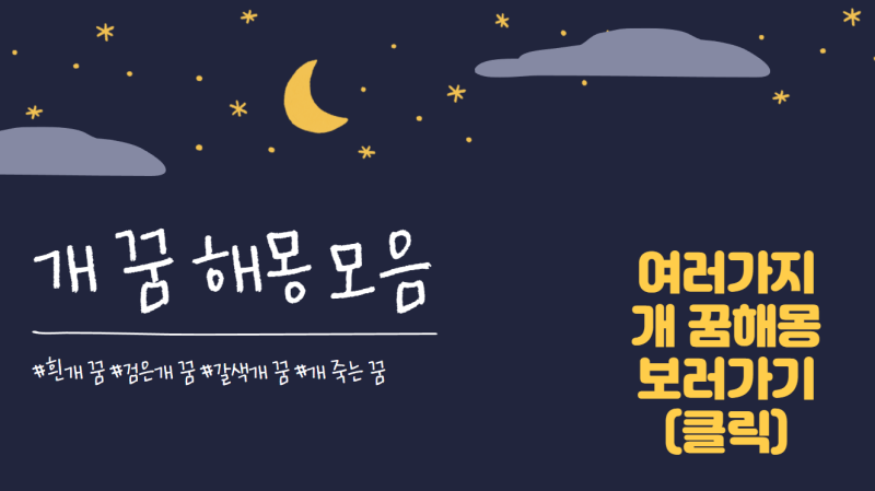 하얀 강아지 꿈은 길몽일까? 검은개 꿈, 죽은 개 꿈 등 강아지 꿈해몽 모음