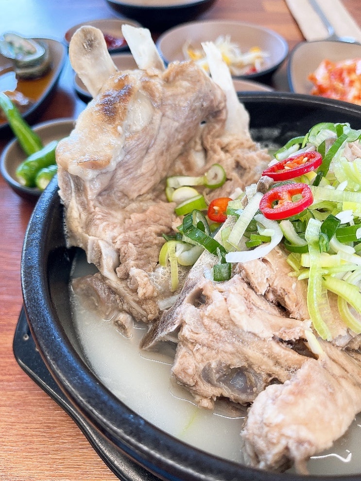  국물끝장 제주 공항근처 접짝뼈국 맛집 본날