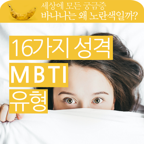MBTI유형별 성격, 직업 알아보기!! MBTI유형별 성격, 직업 알아보기!!