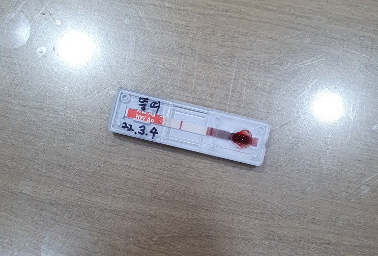  강아지 항체검사, 광견병 주사, 신장수치 혈검 (군산 동물병원 더사랑)