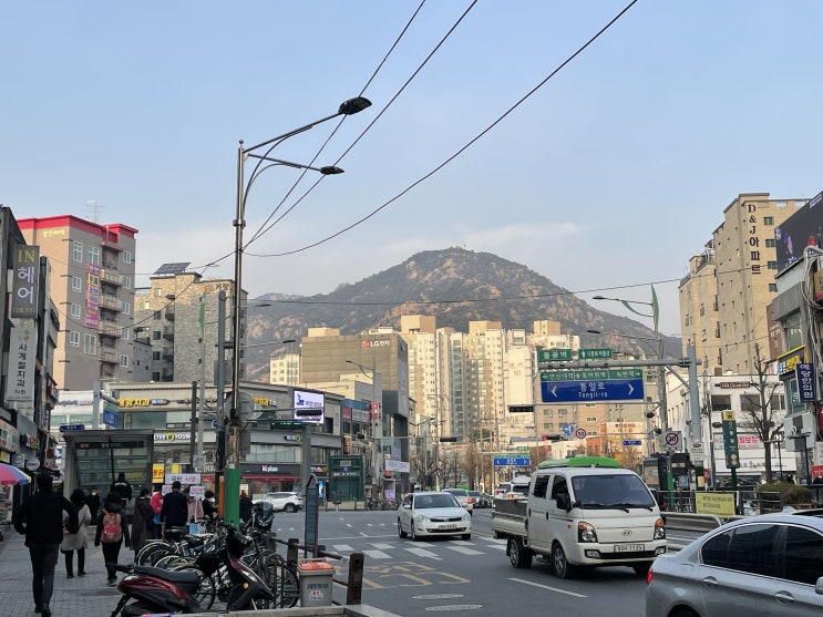 이사 후 새로운 동네에 적응 중