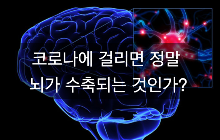  코로나에 걸리면 정말 뇌가 수축되는 것인가?