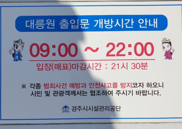 경주 대릉원 천마총 내부모습/입장료& 이용시간&주차비&포토존