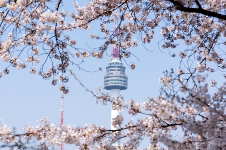 남산타워 N서울타워 전망대 입장권 할인, 남산 케이블카 가격 정리