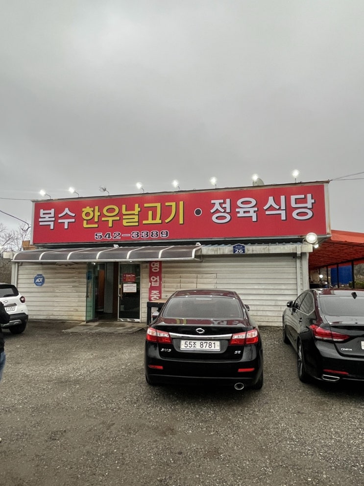 대전 / 대정동 맛집 / 복수 한우날고기 대정점 / 대전한우맛집