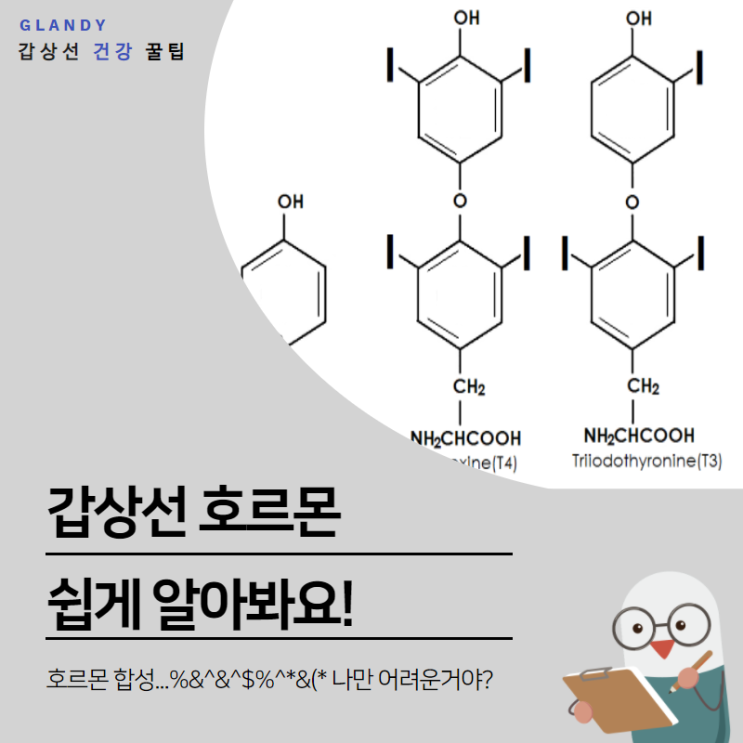  T3? T4? 갑상선 호르몬 쉽게 알아봐요!
