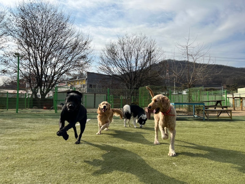 사진 3
