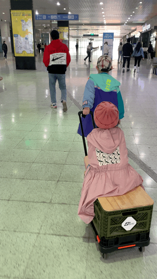  [일산]"2022 킨텍스 캠핑 앤 피크닉 페어" 구경만 하려 했는데...