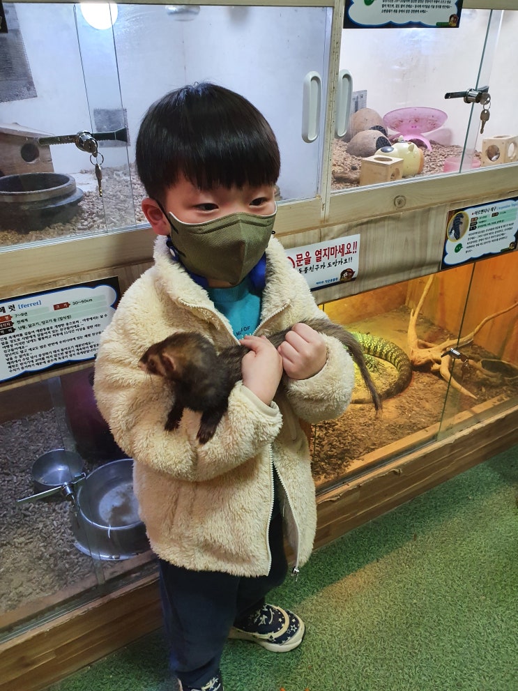  천안여행  사육사와 함께하는 작은동물원 재리쥬