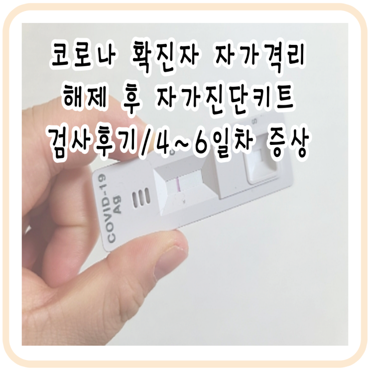  코로나확진자 자가 격리 해제 후 자가진트 키트 후기/ 4~6일차 격리 후기