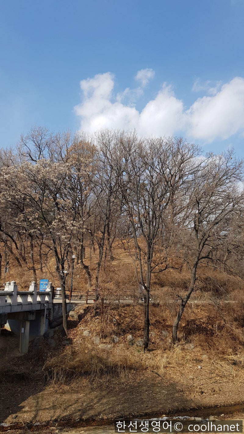 부분사 주어-동사 수일치 all/some/half/most/none /the majority/the rest/a lot/분수 ...