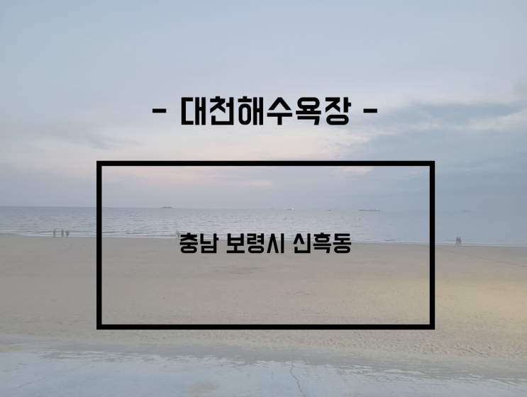  [대천/신흑]시원한 바다가 보이는 곳! 서해 여름 휴가지 추천, 대천 해수욕장