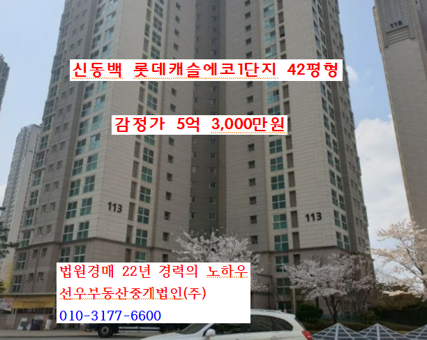 경기도 용인시 기흥구 중동 신동백 롯데캐슬에코1단지 42평형 경매