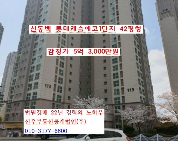  경기도 용인시 기흥구 중동 신동백 롯데캐슬에코1단지 42평형 경매