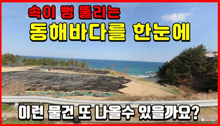  끝내주는 바다조망은 기본이고 국유지까지 덤으로 - 동해바다 바닷가토지 경매