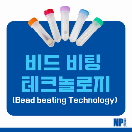 비드 비팅 테크놀로지 (Bead Beating Technology)