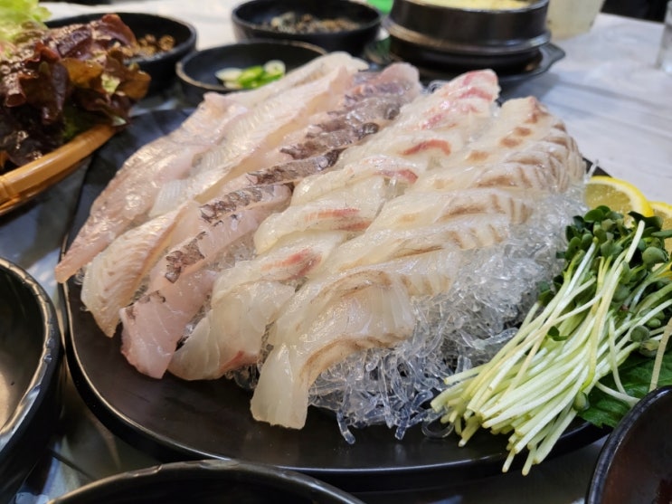  활어회 요마 썬샤 우럭투게더-경기광주맛집 1박2일회포차