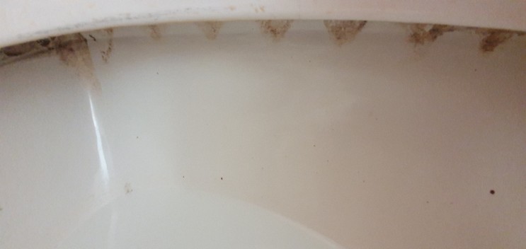 하남 삼부르네상스 입주청소 백칠동 덕풍동에서 나노코팅 욕실이 몰라보게 깨끗해졌답니다