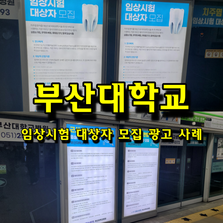  부산대학병원의 임상시험 대상자 모집 광고 사례