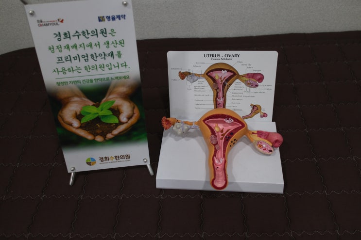 수원 국민행복카드 사용가능 한의원에서 훗배앓이를 산후보약으로 치료받으세요