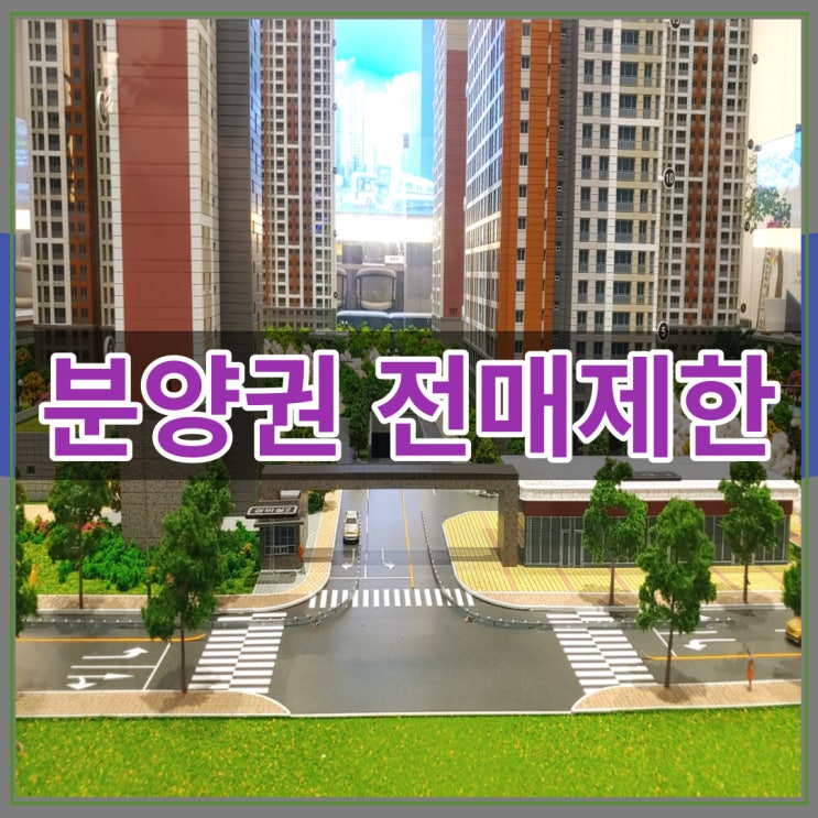  분양권 전매제한에 대한 정보 거주의무기간 체크