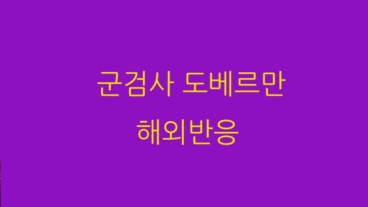  군검사 도베르만 해외반응