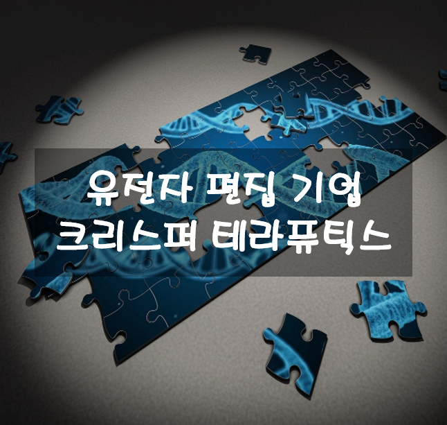  유전자 편집 기술의 대표주자 크리스퍼 테라퓨틱스 주가 및 분석