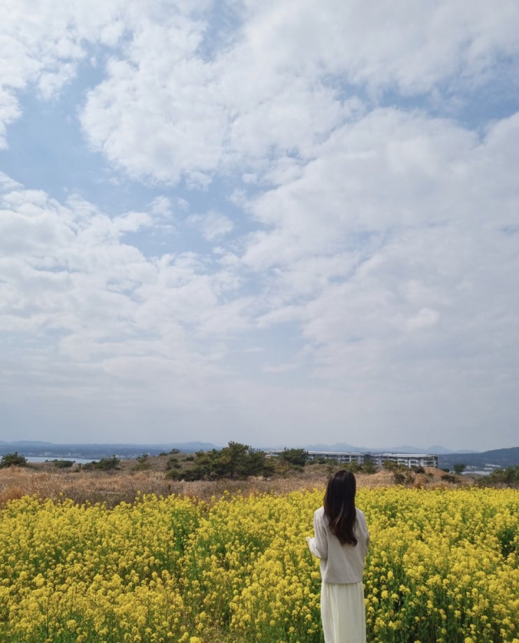  제주도 여행 2일차(3.11.)