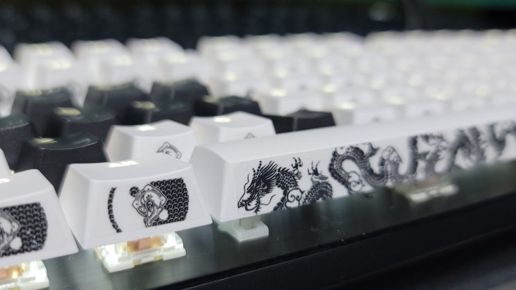 기공사 바탕키캡 + 몬스타기어 MK108 화이트LED