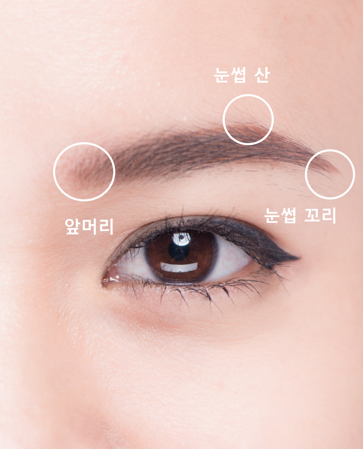  초보도 따라 할 수 있는 여자 눈썹 그리기 방법 가르쳐드릴게요.