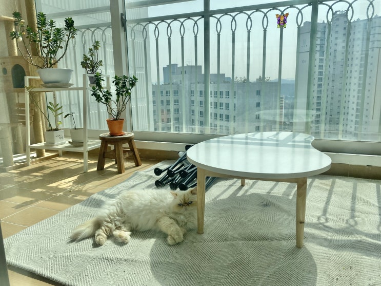 여유