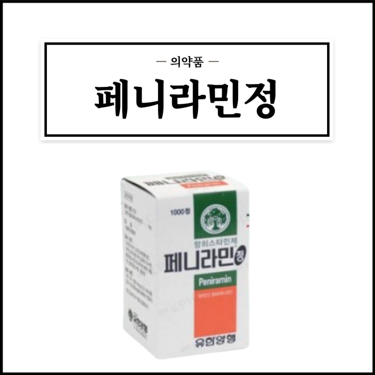  페니라민정, 효능효과/복용법/부작용/주의사항 등 간단정리