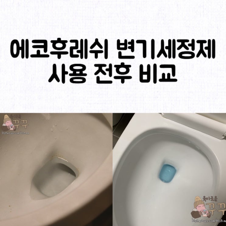 [정보] 에코후레쉬 변기세정제 사용 전후 솔직 비교/️변기 사진 주의️