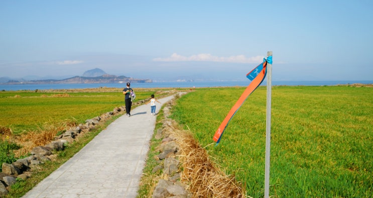 3월 제주 가볼만한 곳, 청보리의 섬 제주도 가파도