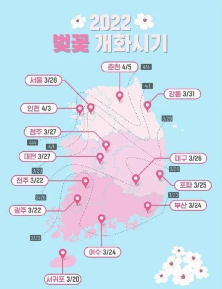 22년 봄 벚꽃 개화시기 미리 알고 데이트 갑시다ㅣ 축제 날짜 명소 장소 날짜