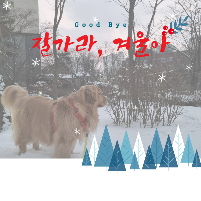  겨울은 이제 안녕~!