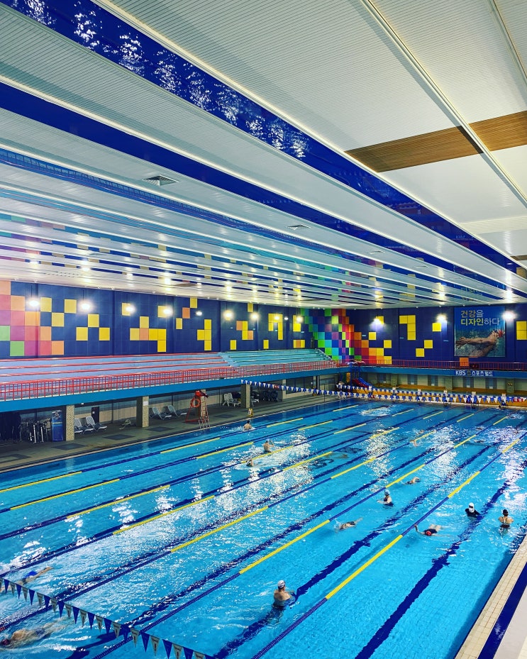  강서구 수영장 KBS 아레나 내가 수영을 하게 된 이유