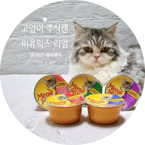 고양이주식캔 미유믹스 리얼, 미유믹스 심플서빙으로 음수량 UPUP! (feat. 고양이습식)