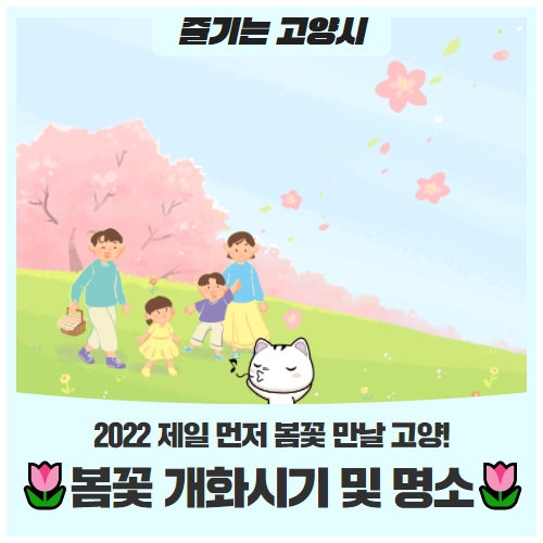 봄바람 휘날리며~ 꽃 향 가득한 봄꽃, 제일 먼저 볼 고양! 봄바람 휘날리며~ 꽃 향 가득한 봄꽃, 제일 먼저 볼 고양!
