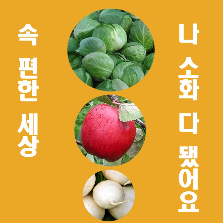  소화불량. 소화를 돕는 소화효소