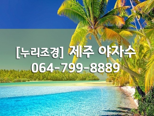 [누리조경] <b>제주</b> <b>야자수</b>