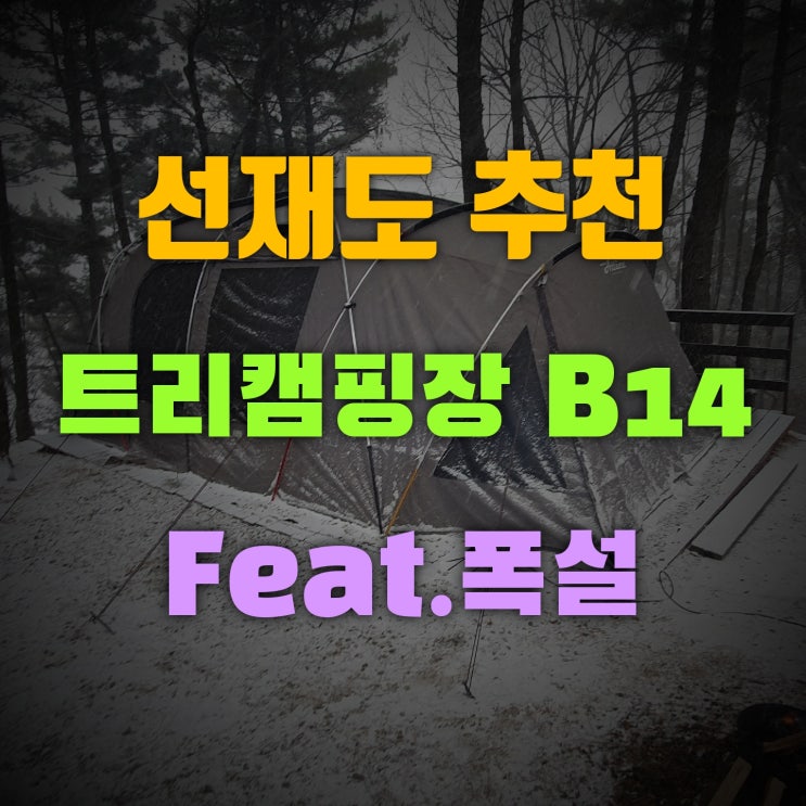  선재도 트리캠핑장 B14번 입구자리 어떤가요