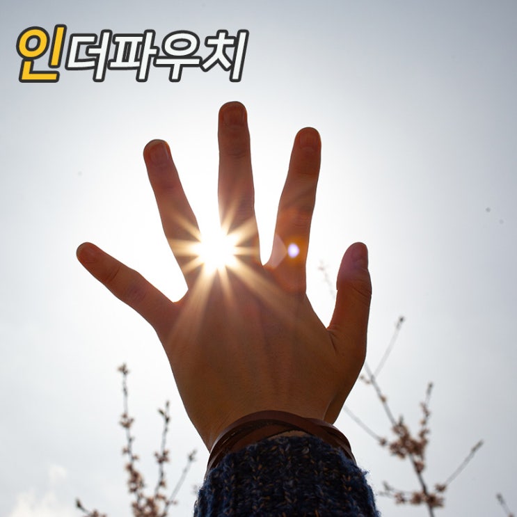  인더파우치가 알려주는 콘돔에 대한 5가지 오해