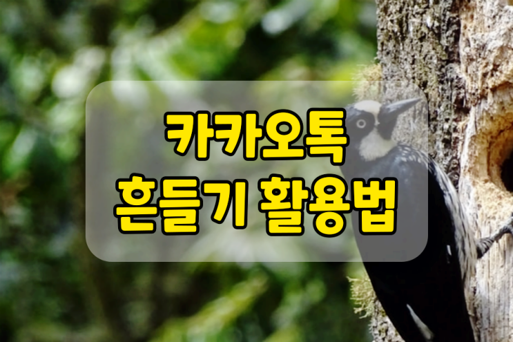 카톡 흔들기 활용할 수 있는 방법이 있다? 카톡 흔들기 활용할 수 있는 방법이 있다?