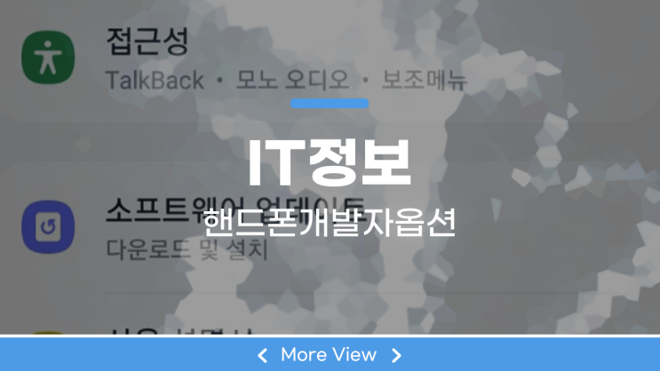  핸드폰 개발자옵션 간단하네